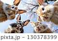 Four adorable rabbits are gathered under blooming cherry trees in a serene garden. They display curious expressions while surrounded by vibrant flowers and clear blue skies 130378399