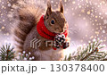 A charming squirrel dressed in a red scarf is happily clutching a pine cone in a snowy environment. Delicate snowflakes gently fall around as greenery adds to winter beauty 130378400