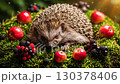 A hedgehog peacefully rests on a bed of moss surrounded by vibrant apples and dark blackberries. Warm afternoon light creates a serene atmosphere, highlighting the beauty of nature 130378406