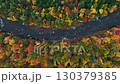 Aerial view of beautiful Autumn foliage with stunning nature colors 130379385