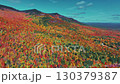 Aerial view of beautiful Autumn foliage with stunning nature colors 130379387