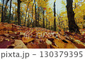 Beautiful Autumn foliage with stunning nature colors 130379395