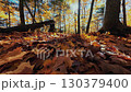 Beautiful Autumn foliage with stunning nature colors 130379400