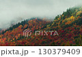 Beautiful Autumn foliage timelapsing with stunning nature colors from Adirondack upper New York State, USA 130379409