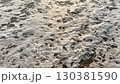 Ocean waves with white foam gently wash onto the golden sandy beach, creating a peaceful coastal scene symbolizing relaxation, summer, vacation, and natural seaside beauty 130381590