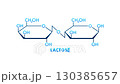 Lactose Structural Formula Animation on White and Green Background 130385657