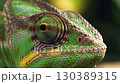 Detailed close up of a chameleon's eye showcasing its unique texture and color	 130389315