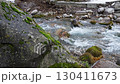 A natural landscape video with a huge dark gray stone block overgrown with lichens and green moss, cuckoo flax. In background, river flows with 4-fold slow flow of mountain clear water with 25 fps 130411673