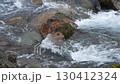 Slow motion flow of mountain river clear cold water slowed down by four times, skirting large underwater cobblestone, top of which protrude above water and are thickets of green moss. Natural footage 130412324