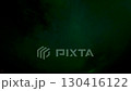 從加拿大耶洛奈夫的極光村欣賞極光 130416122