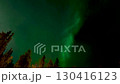 從加拿大耶洛奈夫的極光村欣賞極光 130416123
