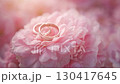 ピンク色の美しい花の上に置かれた結婚指輪のペアを、暖かい光の中でカメラがゆっくりと回り込みながら映し 130417645