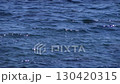 太陽の光が反射してキラキラ輝いている波が立っている青い海面 130420315