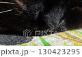 Closeup of sleeping black cat breathing slowly on a colorful blanket 130423295