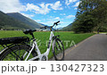 Electric bike in a meadow along a cycle path in Val di Sole, Trentino, Italy Electric bike in a meadow along a cycle path in Val di Sole, Trentino, Italy 130427323