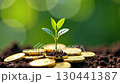 A young green sprout grows out of ground and gold coins close-up on a green background. Economics, finance, ecology, startup. AI generated 130441387
