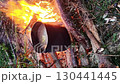 Soup with potatoes and vegetables is simmering in a pot over an open fire in the woods. The frame shows both the practicality of bushcraft and the appeal of natural outdoor living. 130441445