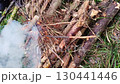 Wooden logs catch fire in a forest campfire, flames spreading through dry sticks and branches. The image captures both the warmth of camping life and concerns about fire safety in nature. 130441446