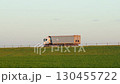 Cargo truck drive along intercity freeway through green fields. Delivery and transportation of goods to customer. Working as trucker. Truck driving on road. Transportation building materials by truck 130455722
