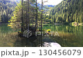 Caprioli lake panorama in Val di Sole, Trentino, Italy. Caprioli lake panorama in Val di Sole, Trentino, Italy. 130456079
