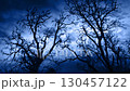 Trees With Lightning Strikes Behind On Stormy Night 130457122