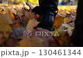 Low view of female feet in boots going on fallen maple leaves at parkland. Legs of young woman stepping on yellow foliage at park. Girl walking at parkland on autumn sunny day. Slow motion 130461344