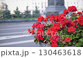 Colorful red flowers bloom in a beautiful planter, enhancing the summer atmosphere in a busy city park. The surrounding greenery adds to the inviting scene. 130463618