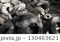 A haphazard collection of discarded tires piled up chaotically, clearly showcasing their extensive wear and age 130463621