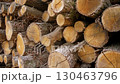 Stacked logs are displayed in an outdoor environment under bright daylight, revealing natural wood textures and patterns. The arrangement highlights the earthy tones and organic beauty of the wood. 130463796