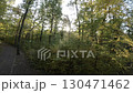 A first-person view FPV flight through a colorful autumn forest. The video is taken from the perspective of a drone flying through the trees. The forest is full of color, with the leaves of the trees 130471462