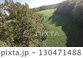 This FPV drone footage shows a large grassy field and a variety of trees from above. The video is taken in the autumn season, and the trees are in full foliage. The drone flies over the field 130471488