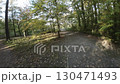 Experience the thrill of flying through a vibrant autumn forest in this FPV drone video. The lush trees are adorned with shades of red, orange, and yellow, creating a breathtaking canopy. The sun 130471493