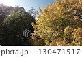 Experience the breathtaking beauty of an autumn forest from a unique perspective with our F PV drone footage. Immerse yourself in a vibrant tapestry of red, orange, and yellow leaves as you soar 130471517