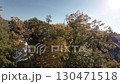 This FPV drone footage was taken in the fall season. The video shows colorful autumn trees from above. The drone flies over the trees and offers a unique perspective of the changing colors of the 130471518