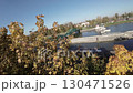 The video begins with a view of a small bridge over a river in Poland. The bridge is surrounded by trees, which are in full autumn foliage. The leaves on the trees are a variety of colors, including 130471526