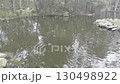 Ducks paddling around a small island at Central Gardens Nature Reserve 130498922