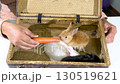 Three decorative multi-colored rabbits in an old suitcase against the background of a man. 130519621