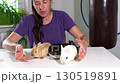 A woman plays and holds three colorful mini rabbits in her hands. She sits at a table. 130519891