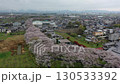 雨上がりの桜 130533392