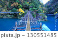 洲又峽夢幻吊橋，從中間步行至出口，靜岡縣 130551485