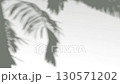 Abstract shadow palm tree on wind sunshine background, looped animation 130571202