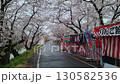 雨の桜まつり 130582536