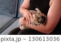A rabbit snuggles against a woman s arm, with its head resting gently. The photo captures a tender moment of affection, emphasizing the calming effect of close contact between pets and their owners. 130613036