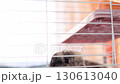 A fluffy rabbit sits inside a pink cage under a small platform, partially hidden from view. The frame reflects everyday pet life, symbolizing comfort, safety, and the habits of domestic animals. 130613040