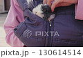 Close up of a spotted rabbit in the child's arms and a pinscher dog trying to sniff the rabbit 130614514