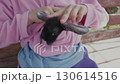 A girl is playing with the ears of a small rabbit sitting in her arms 130614516