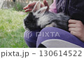 Close-up of a man's hands stroking a rabbit 130614522