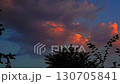 Morning timelapse video at dawn before sundown with dark silhouettes of trees against the sky, with floating clouds, brightly lit and dark areas. Natural Footage Blank For Filling Frames 130705841
