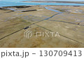 Ria Formosa riverbed with shellfish production and yachts anchored in the river Ria Formosa riverbed with shellfish production and yachts anchored in the river 130709413