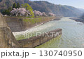 250426 Cherry blossoms at Nishiotaki Dam 130740950